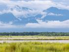 Huge mountains (not even the Himalayan peaks!) rise above the Chitwan floodplain