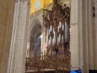 Look at the size of this organ!