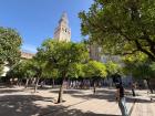 Outside in Orange Courtyard