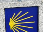 Camino Shell