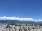 Lago Enriquillo is located in the south, in Neyba, the south of the DR is very hot and dry - and this lake has crocodiles