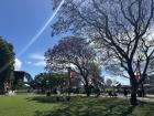 Walk to the Harbor Bridge and the Opera House