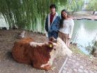 My little brother came to visit me, so of course I had to show him the cows by the river! This became one of my favorite pictures of us as we do not take photos together often.