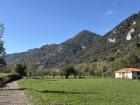Bears and small farmers like this one share the mountains and valleys in Asturias