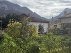 A garden in a small town, which might tempt a bear!