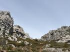 The typical limestone rock that Cantabrian brown bears navigate