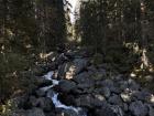 A stream running through the forest during our hike in Slovakia