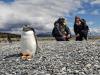 Josh and I walked with Magellanic penguins on Isla Martillo, off the southernmost tip of Argentina 