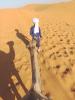 Walking out of the Sahara with 'Brahim and the camels