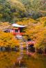 Beauty in Kyoto during the fall season. The leaves are very bright and colorful 