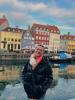 This is the post-card destination of Copenhagen: Nyhavn